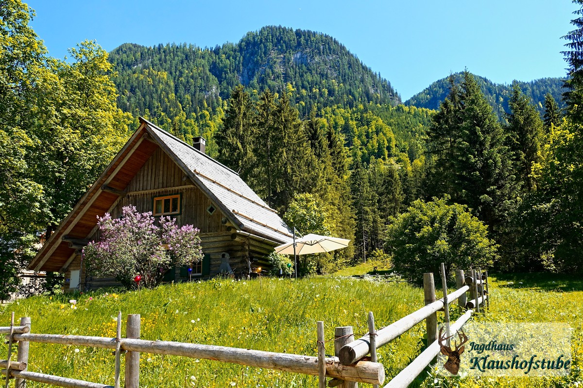 Hütte Sommer