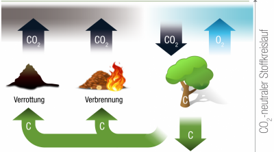 CO2 Kreislauf Holz