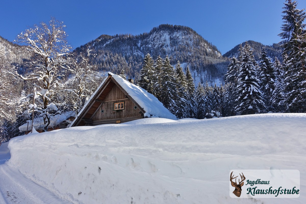 Garten im Hochwinter