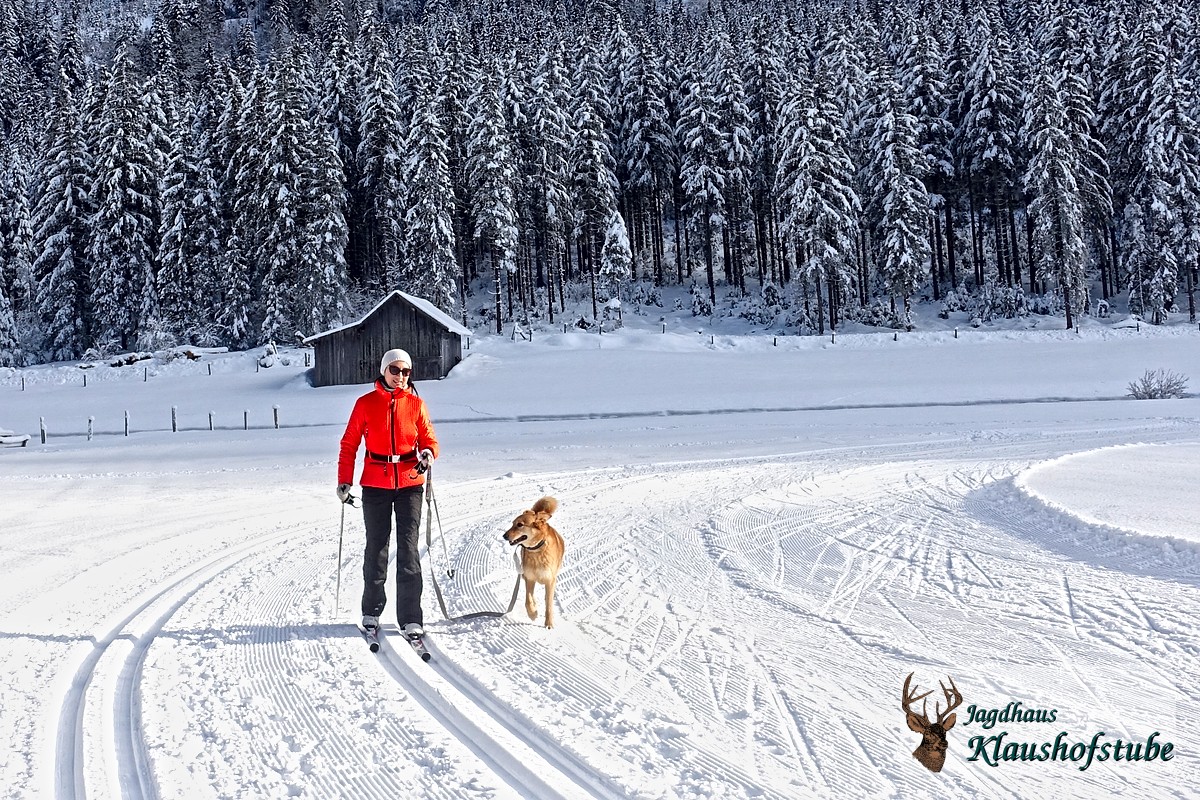 Langlauf mit Hunde