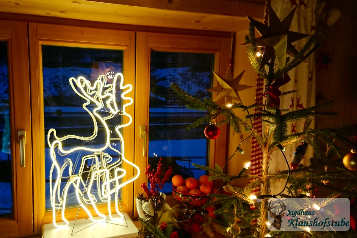 Weihnachtsbaum Ferienwohnung