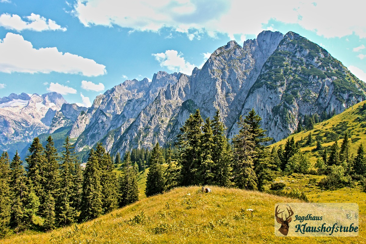 Zwieselalm Gosaukamm 