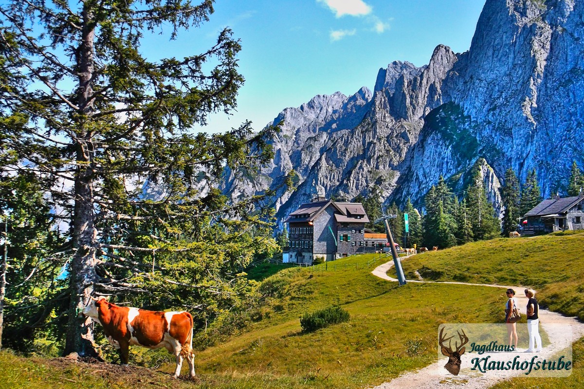 Zwieselalm + Gosaukamm