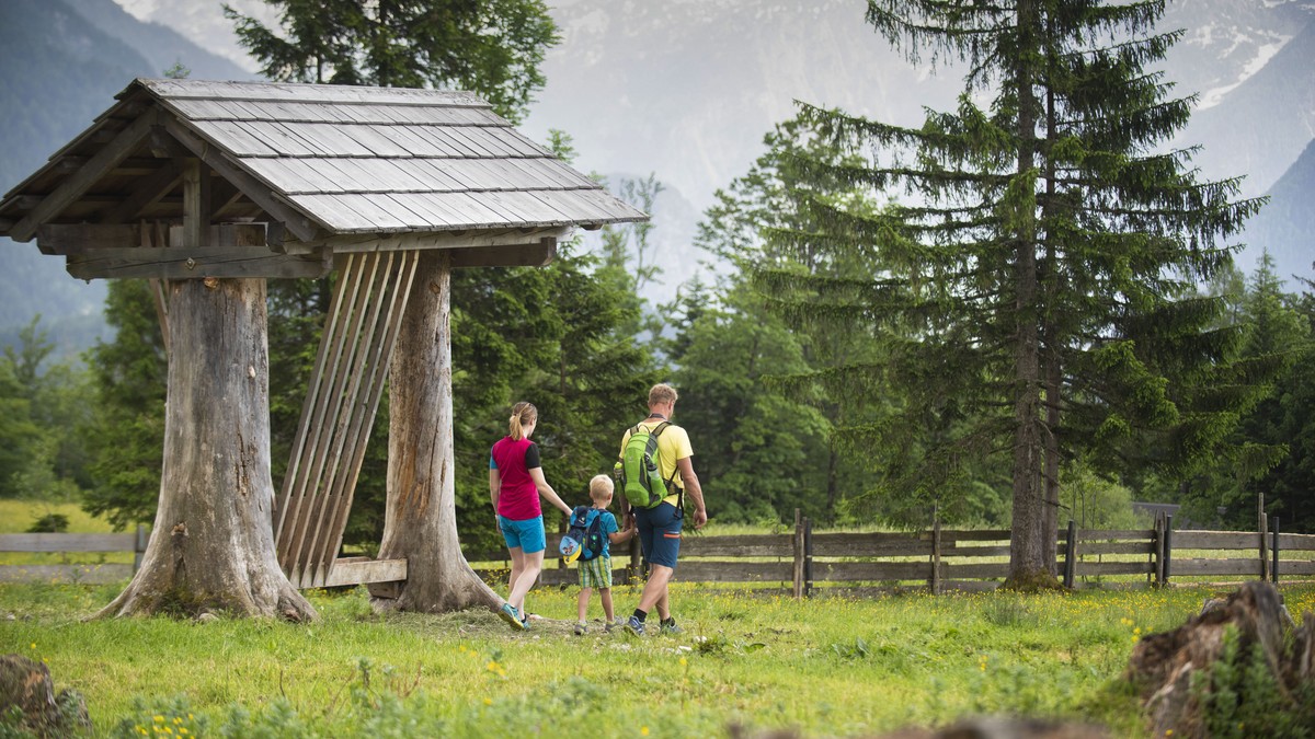 Familienwanderung Bergwald