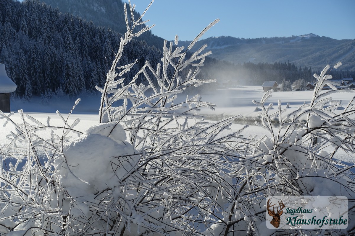 Rauhreif vor der Hütte