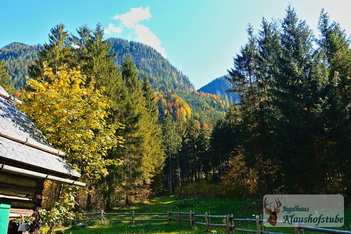 Herbstwald Hütte