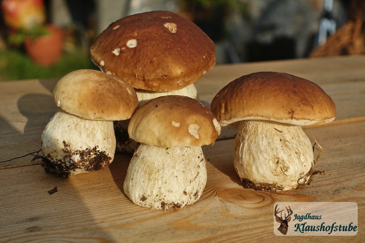 Fast zu schön zum Essen ... Fast zu schön zum Essen ...