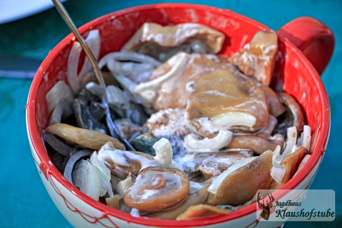 Perfekt zum Marinieren und für kräftige Salate: Fichten-Reizker aus unserem Forst Perfekt zum Marinieren und für kräftige Salate: Fichten-Reizker aus unserem Forst