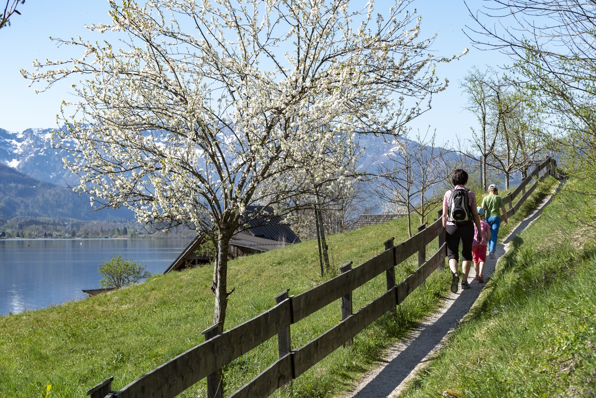 Wanderurlaub Bergfrühling