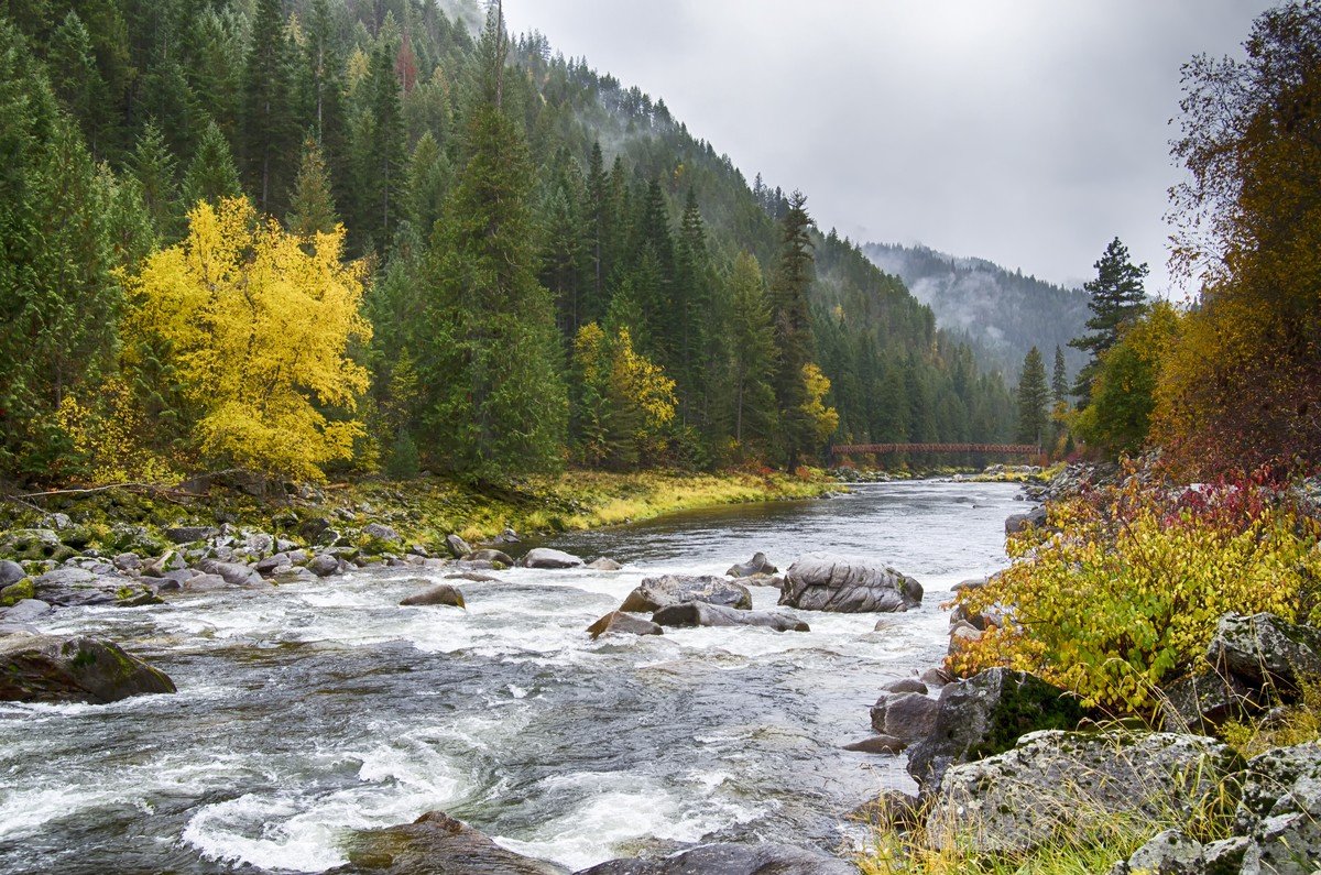 Wildbach Herbst