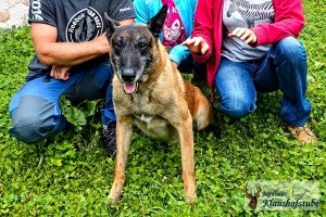 Polizeihund "Dok" aus Tschechien erholt sich bei uns von der Verbrecherjagd