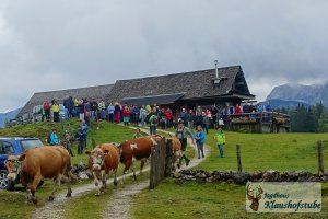 Almabtrieb von der Plankenstein-Alm, immer am vorletzten Samstag im September