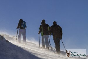 Das ist nicht Alaska - das ist bei uns am Krippenstein!