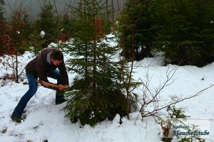 Am 23. Dezember schlagen wir mit unseren Gästen die Christbäume für die Klaushofstube