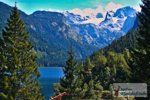 Der Gosausee lädt im Hochsommer zum Baden ein