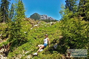 Auf der Rossalm im Plassen-Massiv