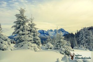 Abenddämmerung am Hornspitz