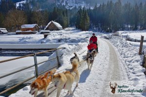 Husky-Schlittenfahrt ab der Hütte